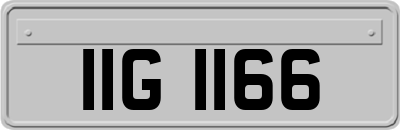 IIG1166