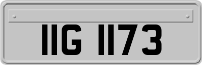 IIG1173