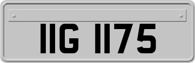 IIG1175