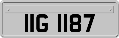 IIG1187