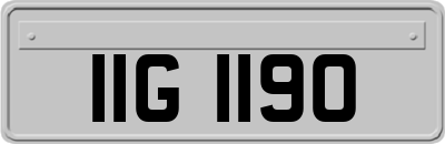 IIG1190