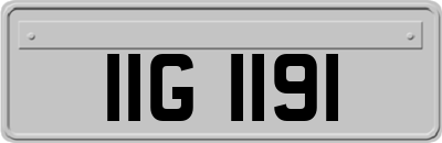 IIG1191