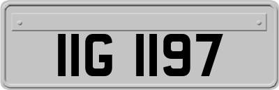 IIG1197