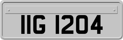 IIG1204