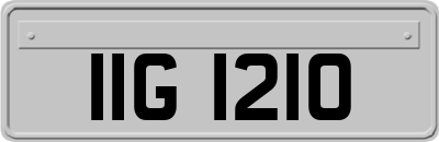 IIG1210