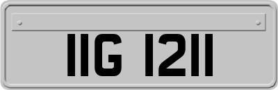 IIG1211