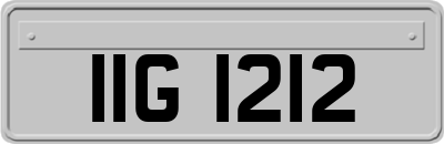 IIG1212