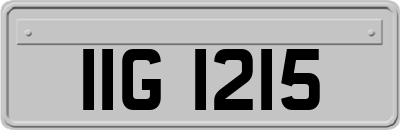 IIG1215