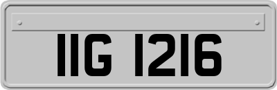 IIG1216