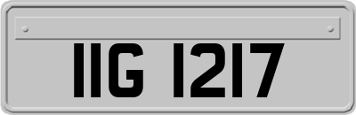 IIG1217