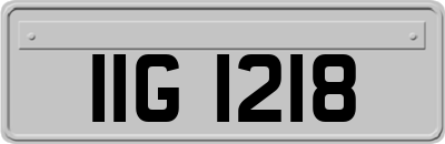 IIG1218