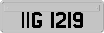 IIG1219