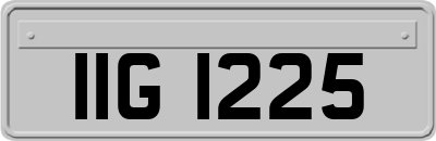 IIG1225