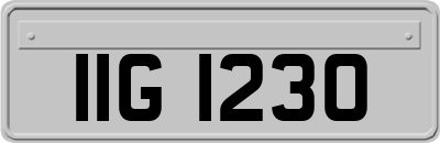 IIG1230