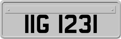 IIG1231