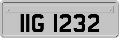 IIG1232
