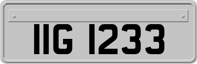 IIG1233