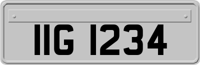 IIG1234