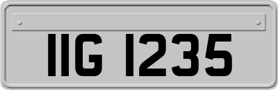 IIG1235