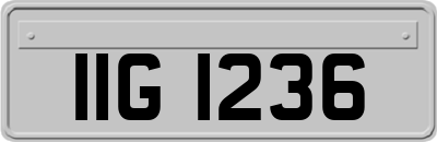IIG1236
