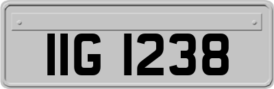 IIG1238
