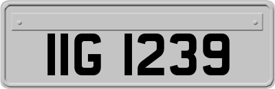 IIG1239