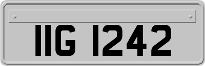 IIG1242