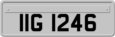 IIG1246