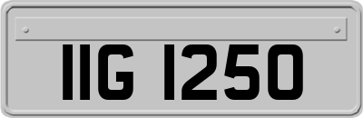 IIG1250