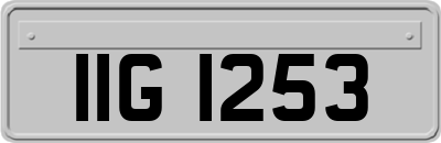 IIG1253