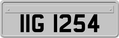 IIG1254