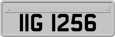 IIG1256