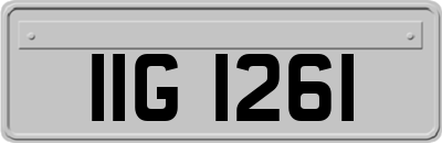 IIG1261