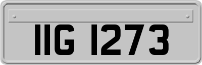 IIG1273