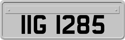IIG1285