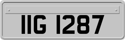 IIG1287