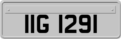 IIG1291