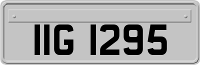 IIG1295