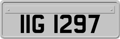 IIG1297