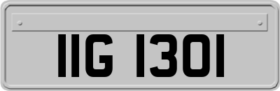 IIG1301