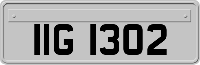 IIG1302