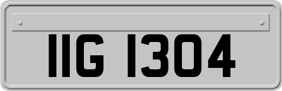 IIG1304