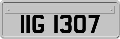 IIG1307