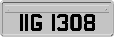 IIG1308