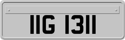 IIG1311
