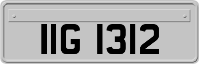 IIG1312