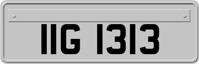IIG1313
