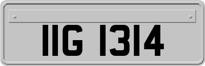 IIG1314