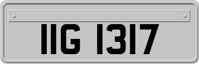 IIG1317