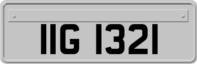 IIG1321